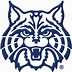 Image result for West Chicago Wildcats Logo