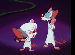 Image result for Pinky and Brain Cartoons Quotes