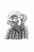 Image result for Saguaro Cactus Black and White
