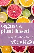 Image result for Vegan vs Fleisch