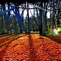 Image result for Fall Desktop Themes Windows 7