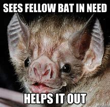 Image result for Bat with Human Teeth Meme