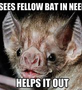 Image result for Bat Call Meme