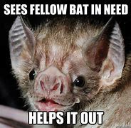 Image result for Happy Bat Meme