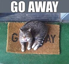 Image result for Way to Go Cat Meme
