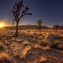 Image result for Arizona Desert Landscape Photography