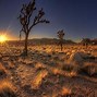 Image result for arizona desert sunset
