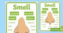 Image result for 5 Senses Smell