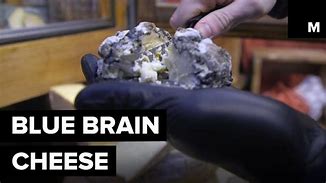 Image result for Blue Brain Cheese