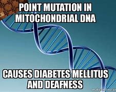 Image result for Mutations in DNA Memes