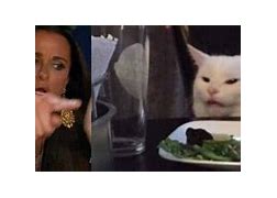 Image result for Woman Yelling at Cat Meme Sunglasses