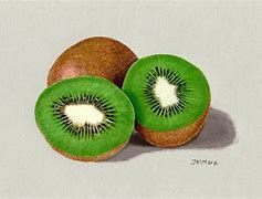 Image result for Still Life Color Pencil Drawing of Fruit