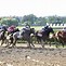 Image result for The Belmont in North Jersey