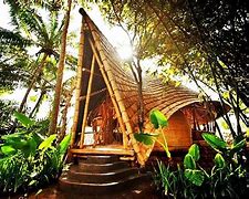 Image result for Bali Bamboo Green Village