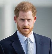 Image result for Prince Harry's Hobbies and Passions