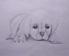 Image result for Pencil Drewing of Puppy Dogs