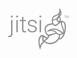 Image result for Jitsi Logo