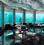 Image result for Hotel in Aquarium