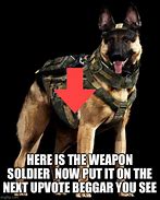 Image result for Soldier Dog Meme