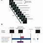 Image result for CT mm Chart