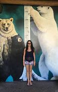 Image result for How Tall Is a Polar Bear Standing Up