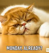 Image result for Fun Happy Monday