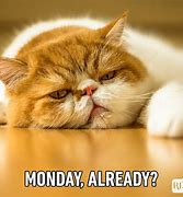 Image result for monday mornings funny memes