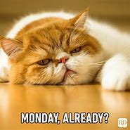 Image result for Monday Work Meme Cute