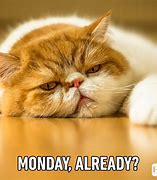 Image result for Monday Face Meme