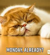 Image result for Monday and Bad Weather Meme