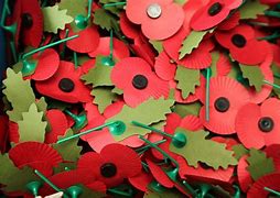 Image result for Poppy Remembrance Day Green Middle