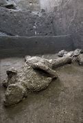 Image result for Pompeii Volcano Bodies