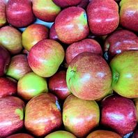 Image result for Macoun Apple Tree