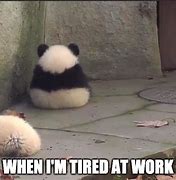 Image result for Fat Guy Tired From Work Meme