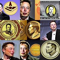 Image result for Elon Musk Invent Doge Coin