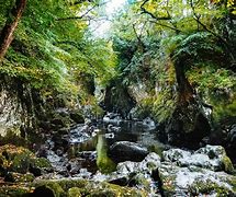 Image result for Fairy Glen Road Wales