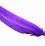 Image result for Feather Graphics Free