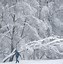 Image result for Russia Snow Nioght