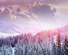 Image result for Computer Wallpaper Cute Winter