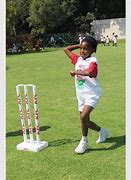 Image result for Mini Cricket