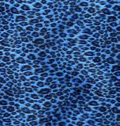 Image result for Baby Blue Leopard Print Background