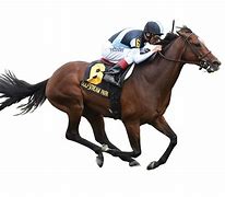 Image result for Jockey and Horse Picture Transparent Background