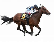 Image result for Racing Horse Man
