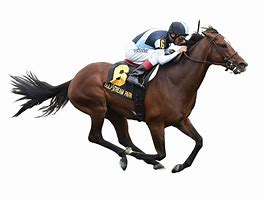 Image result for Horse Racing PNG