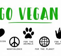 Image result for Difference Between Vegan Vegetarian and Plant Based