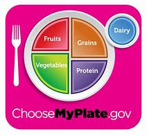 Image result for MyPlate Food Groups