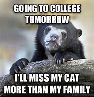 Image result for Cat College Memes