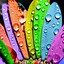 Image result for Cute Colorful Wallpapers