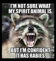 Image result for Animal Quotes Funny Sarcastic