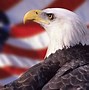 Image result for American Flag Cool iPhone Wallpapers